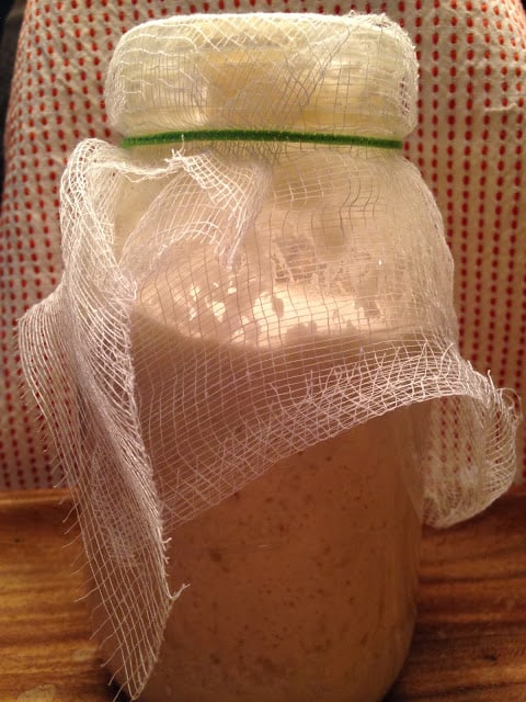 Start a Sourdough Starter Today! start a sourdough