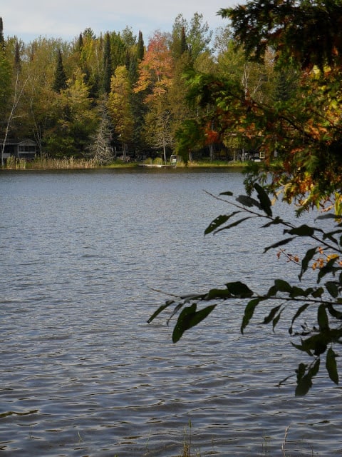 Fall Has Arrived On Green Lake fall has arrived