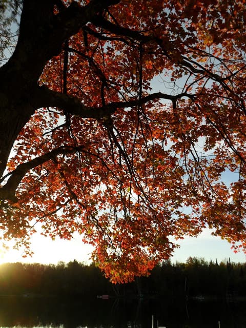 Fall Has Arrived On Green Lake fall has arrived