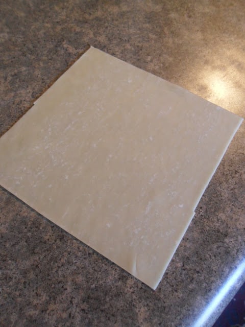 Egg Roll Wrapper shrimp egg