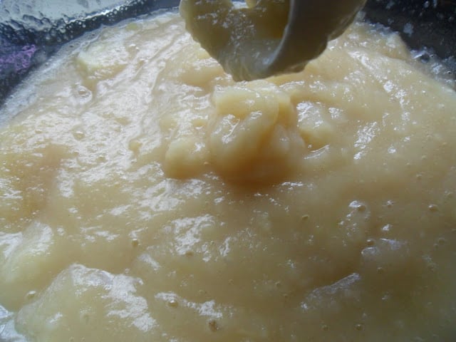 Homemade Apple-Pear Sauce homemade