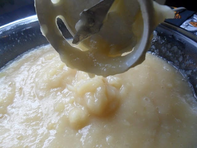 Homemade Apple-Pear Sauce homemade