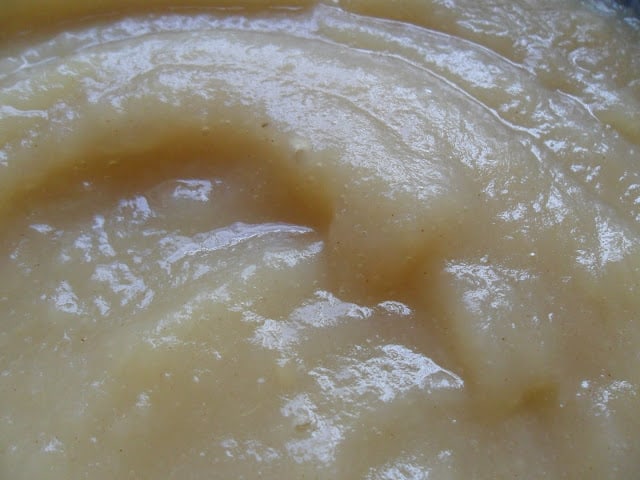 Homemade Apple-Pear Sauce homemade