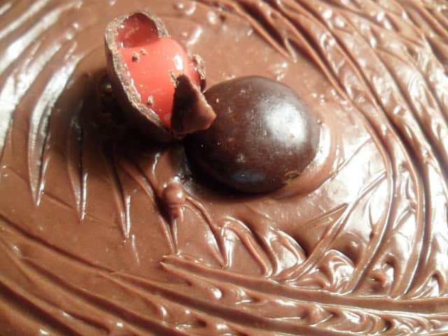 Chocolate Cranberry Cake chocolate cranberry