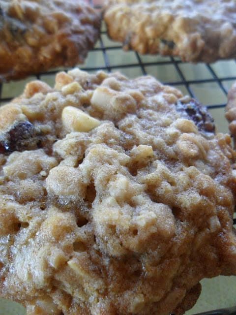 Oatmeal Cherry Berry Nut Cookies