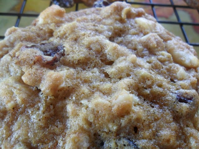 Oatmeal Cherry Berry Nut Cookies