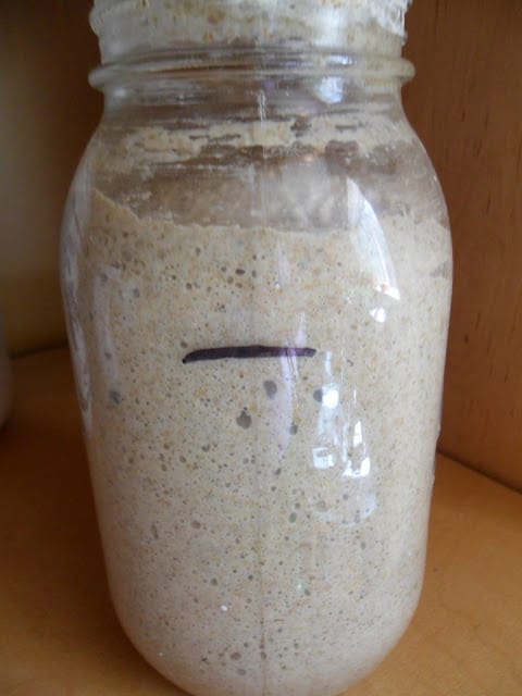 Rye Sourdough Starter how to start a sourdough