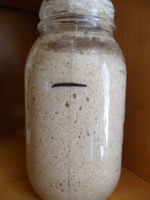 Rye Sourdough Starter how to start a sourdough