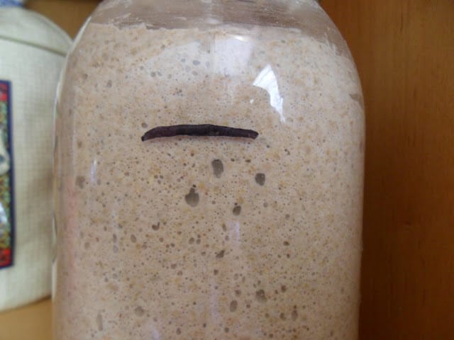 Rye Sourdough Starter how to start a sourdough