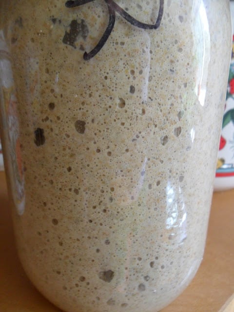 Rye Sourdough Starter