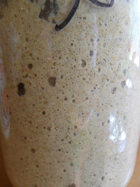 Rye Sourdough Starter how