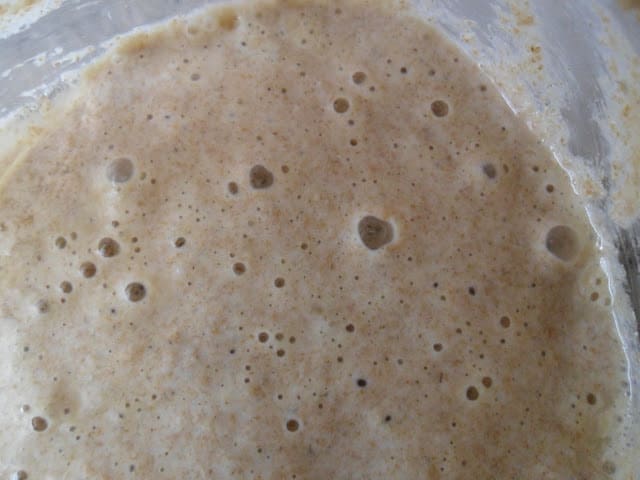 Rye Sourdough Starter