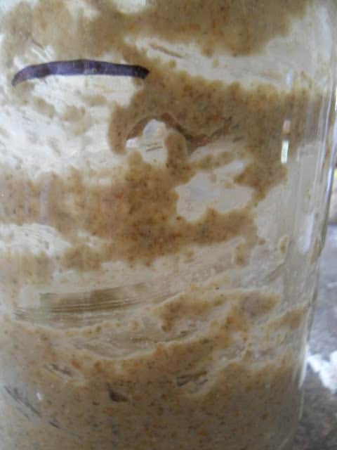 Rye Sourdough Starter how to start a sourdough