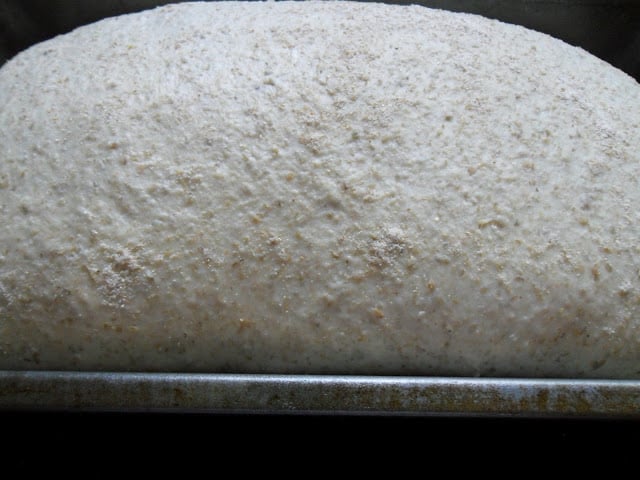 New Bohemian Rye Sourdough Bread
