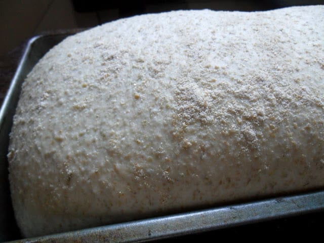 New Bohemian Rye Sourdough Bread new bohemian