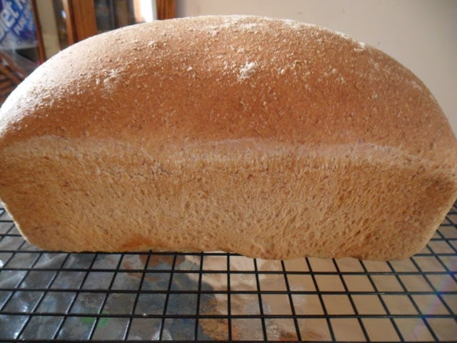 New Bohemian Rye Sourdough Bread