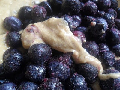 Blueberry Spice Coffee Cake blueberry spice