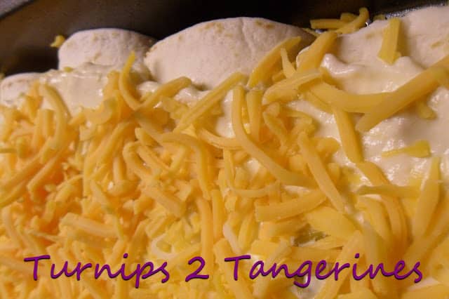Green Chili Turkey Enchiladas green chili