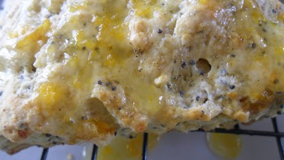 Tangerine Apricot Poppy Seed Scones tangerine apricot