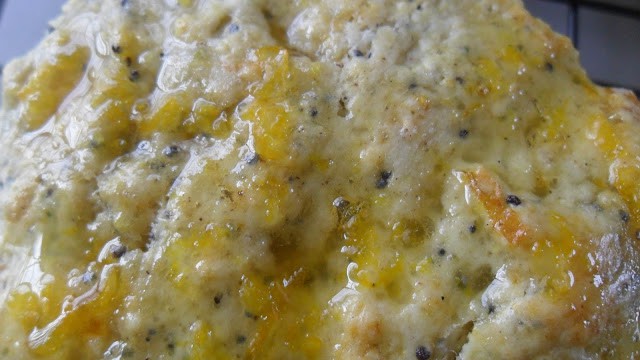 Tangerine Apricot Poppy Seed Scones
