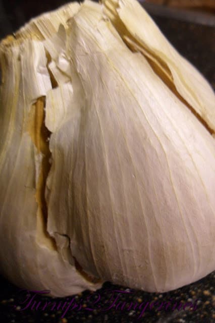 Roasted Garlic Pizza Dough roasted