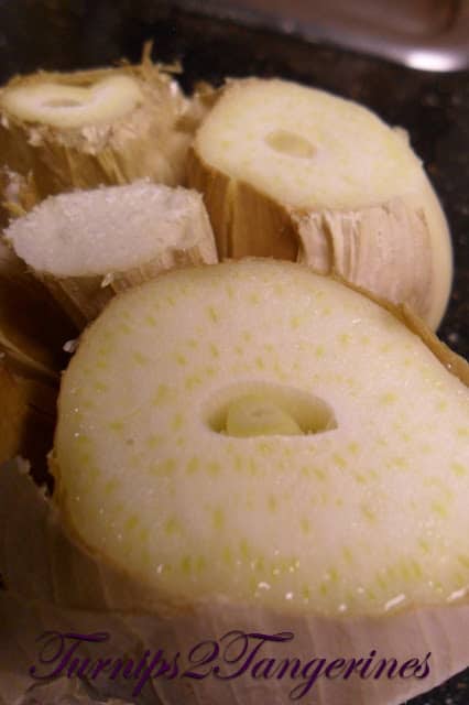 Roasted Garlic Pizza Dough