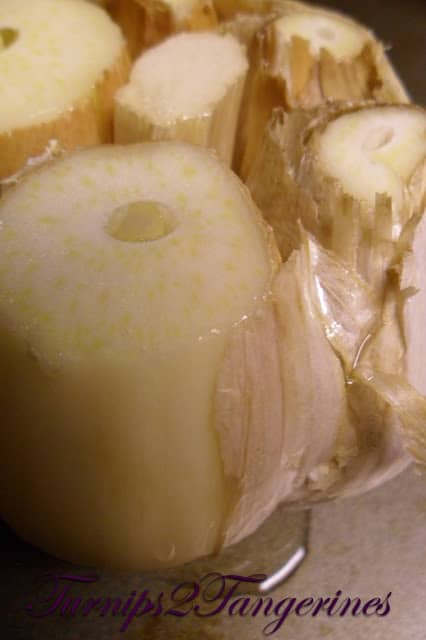 Roasted Garlic Pizza Dough