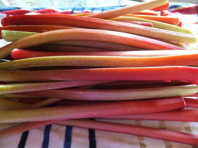 Rhubarb Time means Spring Time rhubarb time