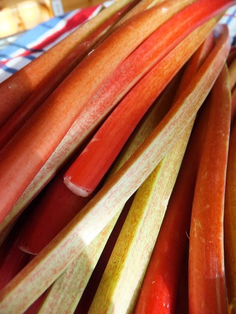 Rhubarb Time means Springtime rhubarb time