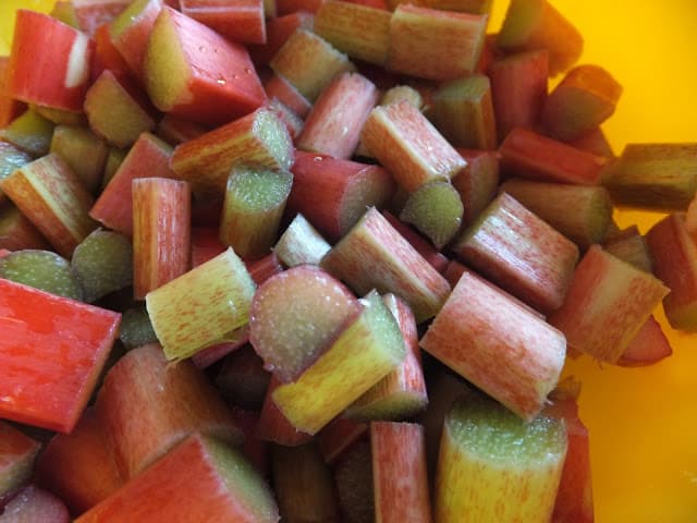 Rhubarb Time means Springtime rhubarb time