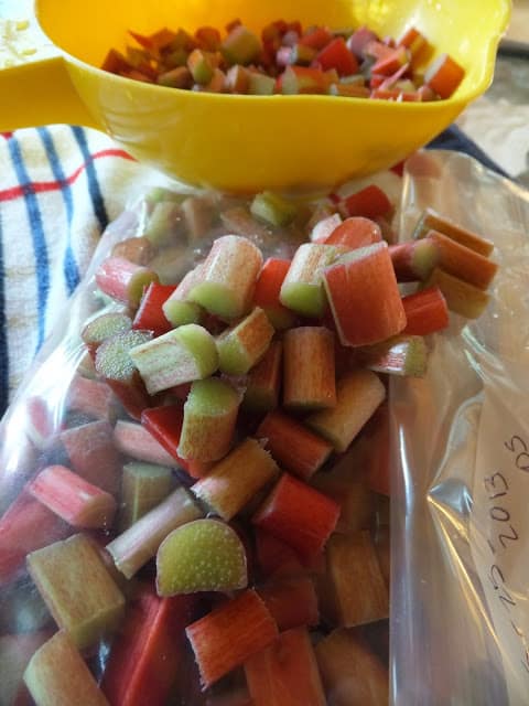 Rhubarb Time means Springtime