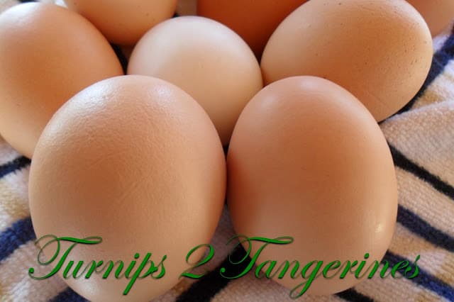Farm Fresh Eggs vs Store Eggs farm fresh