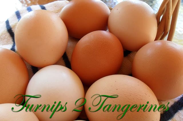 Farm Fresh Eggs vs Store Eggs