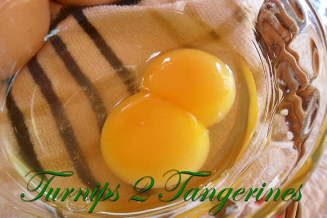 Farm Fresh Eggs vs Store Eggs farm fresh