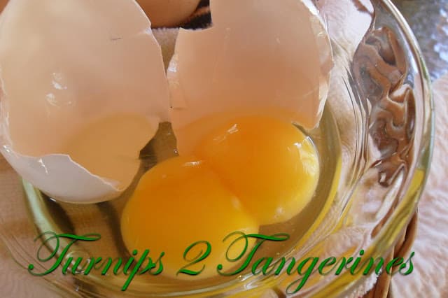 Farm Fresh Eggs vs Store Eggs farm fresh