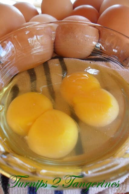 Farm Fresh Eggs vs Store Eggs
