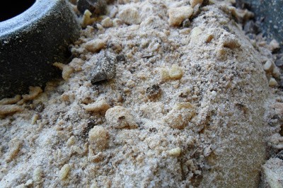 Chocolate Pecan Coffee Cake