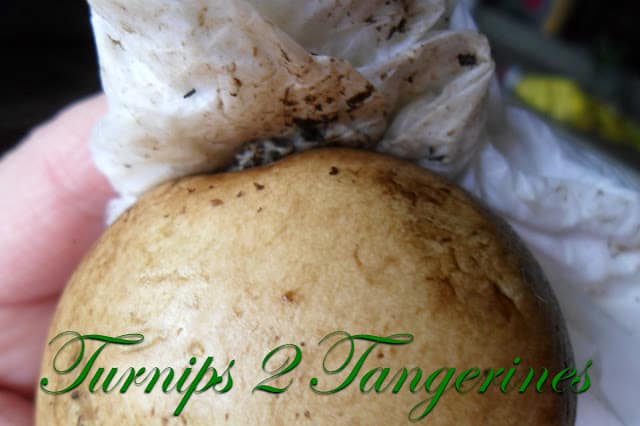 How to Clean Fresh Mushrooms