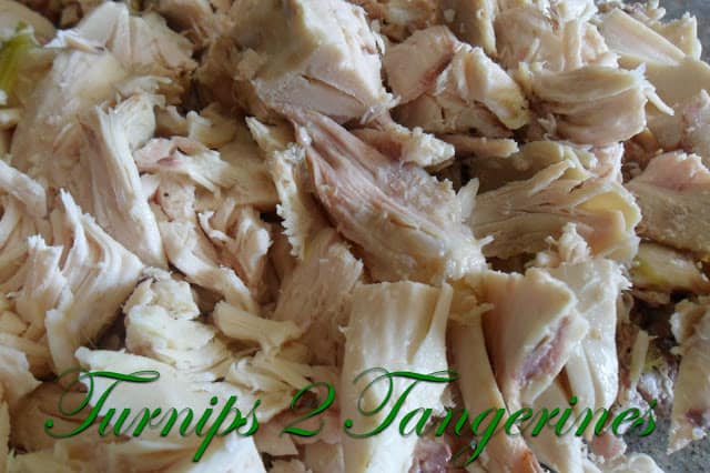 Chicken Noodle Soup