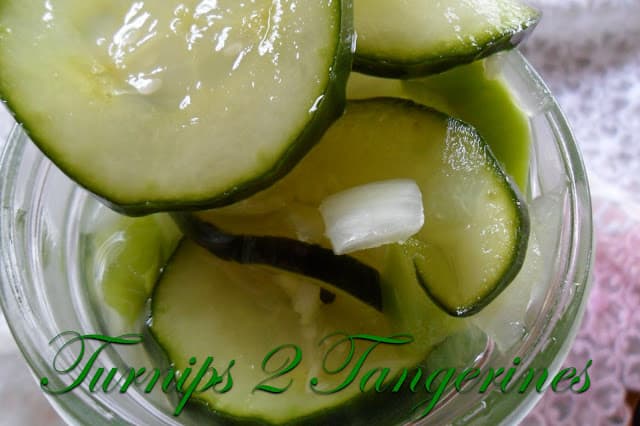 Homemade Refrigerator Pickles homemade refrigerator