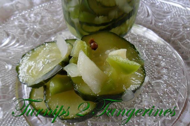 Homemade Refrigerator Pickles homemade refrigerator