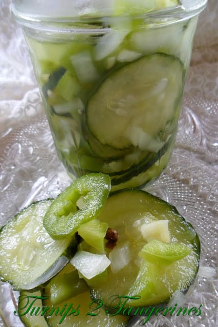 Homemade Refrigerator Pickles homemade refrigerator