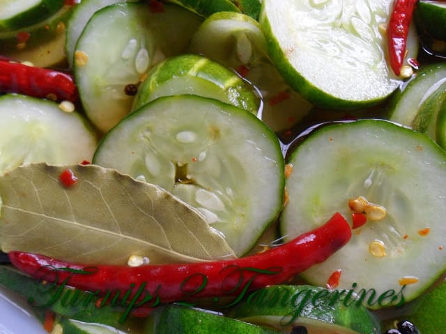 Spicy Refrigerator Pickles