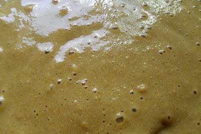 Boston Brown Bread