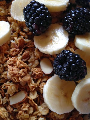 Homemade Almond Granola homemade almond