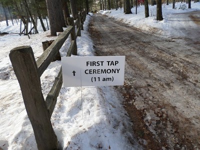 It's Maple Syrup Time at Bear Paw Scout Camp maple