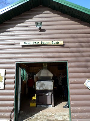 It's Maple Syrup Time at Bear Paw Scout Camp maple