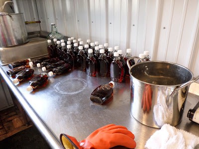 It's Maple Syrup Time at Bear Paw Scout Camp maple