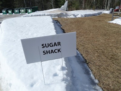 It's Maple Syrup Time at Bear Paw Scout Camp maple