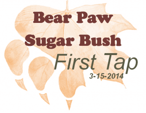 It's Maple Syrup Time at Bear Paw Scout Camp maple